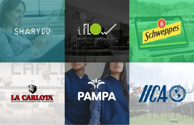 The most notable cases of the year: projects that marked 2024.